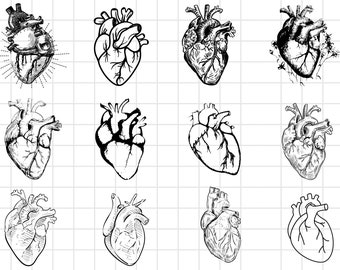 May include: Twelve black and white line drawings of anatomical hearts. Each heart is drawn in a different style, with varying levels of detail.