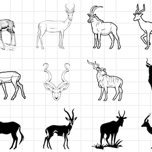 Antelope SVG Bundle Silhouette Pack - 12 Designs | Digital Download |Antelope Gazelle PNG, Pronghorn Vector,Springbok Shape,Antelope Outline