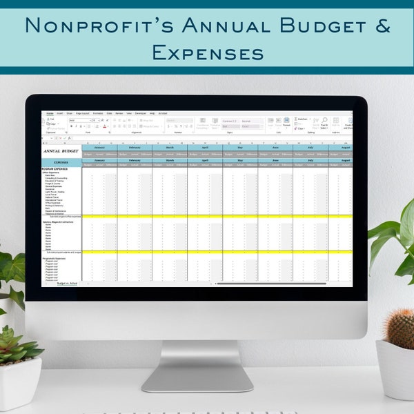 Nonprofit Annual Budget, Expenses and Actuals