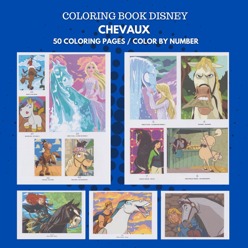 Puede incluir: Un libro para colorear titulado "COLORING BOOK DISNEY CHEVAUX" con 50 p&aacute;ginas. Las p&aacute;ginas presentan ilustraciones de personajes de Disney con caballos, incluyendo a Elsa y Anna de Frozen, y otros personajes. Las im&aacute;genes est&aacute;n dise&ntilde;adas para colorear por n&uacute;meros.