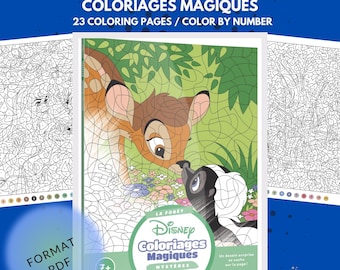 Coloriages mystères, livres à colorier, coloriage, coloriage numérique, livre de coloriage Disney, livre de coloriage PDF, color by numbers, magiques