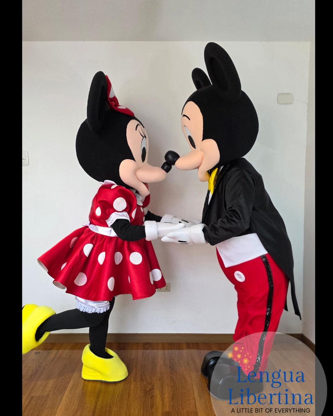 Mickey and Minnie Mascot Costume , Cosplay Mascot, Botarga, Minnie ...