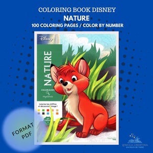 Coloring books, coloring pages, color by numbers, coloriages mysteries, coloring for adults, Disney Mystery color, STICH, Disney adult, natu