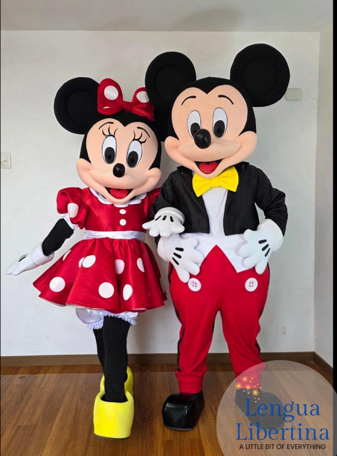 Mickey and Minnie Mascot Costume , Cosplay Mascot, Botarga, Minnie ...