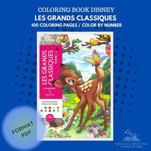 Coloring books, coloring pages, color by numbers, coloriages mysteries, coloring for adults, Disney Mystery color, STICH, Disney adult, pdf