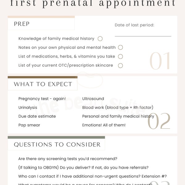 First Prenatal Appointment | Newborn | Pregnancy | Motherhood | 1 Page | 2024 | The Bean Suite | Bean Suite Sheets | Digital Download Only