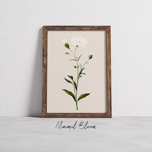 Klassische weiße Anemone Illustration, elegante Blumenkunstdruck, botanische Skizze, minimalistisches Naturdekor, digitale Wandkunst