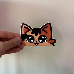 4 inch car STICKER - DURABLE & WATERPROOF - large peeker car sticker - tortie tortoise shell black orange cat