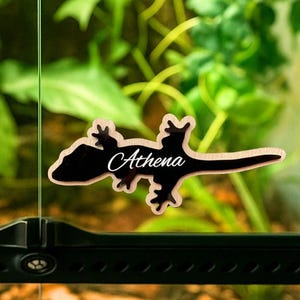 Personalized  Crested Gecko Cage Sign | Layered Acrylic & Wood | Any Species | Custom Enclosure Decor | Room Sign | Crested Gecko Gift