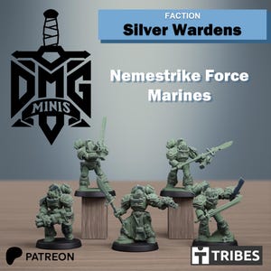 Silver Wardens Nemestrike Force Marines