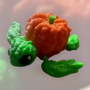 May include: A 3D printed green turtle with a bright orange pumpkin shell. The turtle has large black eyes and a small green stem on top of the pumpkin.