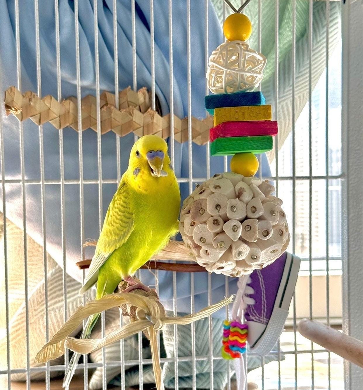 Budgie toys for sale online