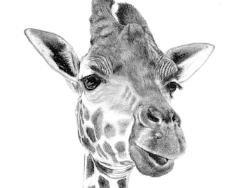 Giraffe Graphite Drawing - Realism Fine Art Print