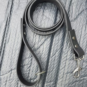 1&quot; Biothane dog leash Chicago Post