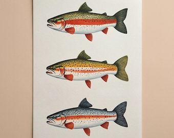 Retro Minimalist Rainbow Trout Study | Natural Palette | Mid-Century Modern Fish Wall Art | Digital Download