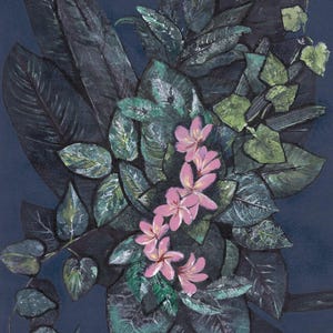 May include: A painting featuring a cluster of five light pink flowers with yellow centers, surrounded by dark green and teal foliage. The composition includes broad, textured leaves and trailing ivy-like vines against a deep navy blue background.