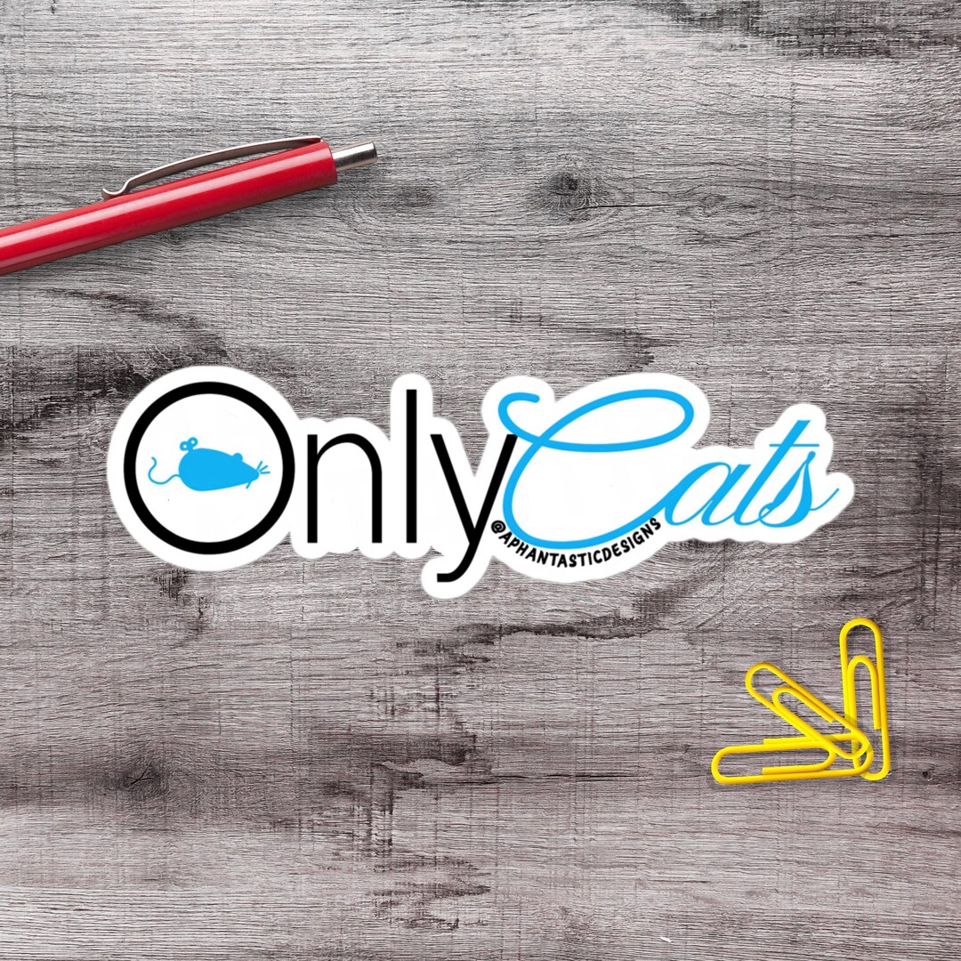 2- Funny Cat Lover Decal Vinyl Sticker | 1–75 Count - Etsy