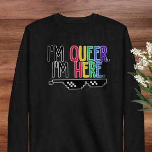 Im Queer Sweatshirt Gay Pride Trans Cozy Sweatshirt Gift Drag LGBTQ Gift Pride Equality Pride Month Lesbian Pullover Adult S–3XL