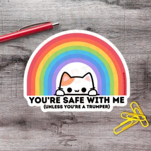 2&quot;-6&quot; Safe With Me Ally Sticker Anti-Trump Stickers Rainbow LGBTQ Pride 1–250 Count Vinyl Sticker Pack Political Protest Sticker Pack Resist