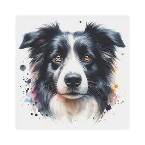 Border Collie Canvas Wall Art