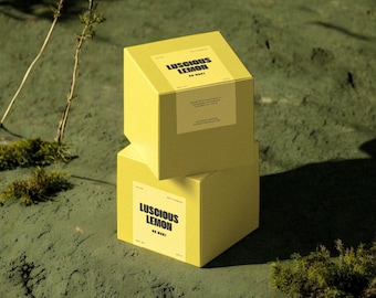 Modern Box Label Template, Editable DIY Branding for Candle Products, Custom Box Seal Label Design, Order Packaging Sticker [Mandarin]