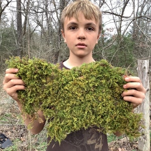 4 Sq. Ft. of LIVE- air dried Sheet Moss, organically harvested-Arkansas, forest Moss! All natural & ready to use for your craft or garden