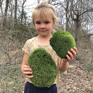 May include: A young person holding two large clumps of green moss. The moss is soft and fluffy, and the person is smiling.