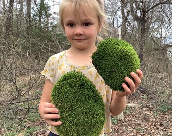 4 Sq. Ft. of LIVE- air dried Cushion Moss, organically harvested-Arkansas forest Moss! All natural & ready to use for your craft or garden
