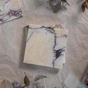May include: Square marble coasters with a cream and brown veined pattern. The coasters have a polished finish and are stacked. Dried foliage is arranged around the coasters. Each coaster measures approximately 10 cm x 10 cm.