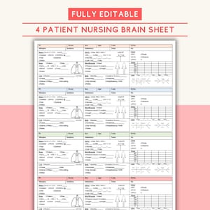 Könnte beinhalten: Eine druckbare Vorlage für ein Pflege-Gehirn-Blatt mit vier Patientensektionen. Jede Sektion enthält Felder für Allergien, Medikamente, Vitalwerte und andere medizinische Informationen. Die Vorlage ist vollständig editierbar und kann zur Verfolgung der Patientenversorgung verwendet werden.