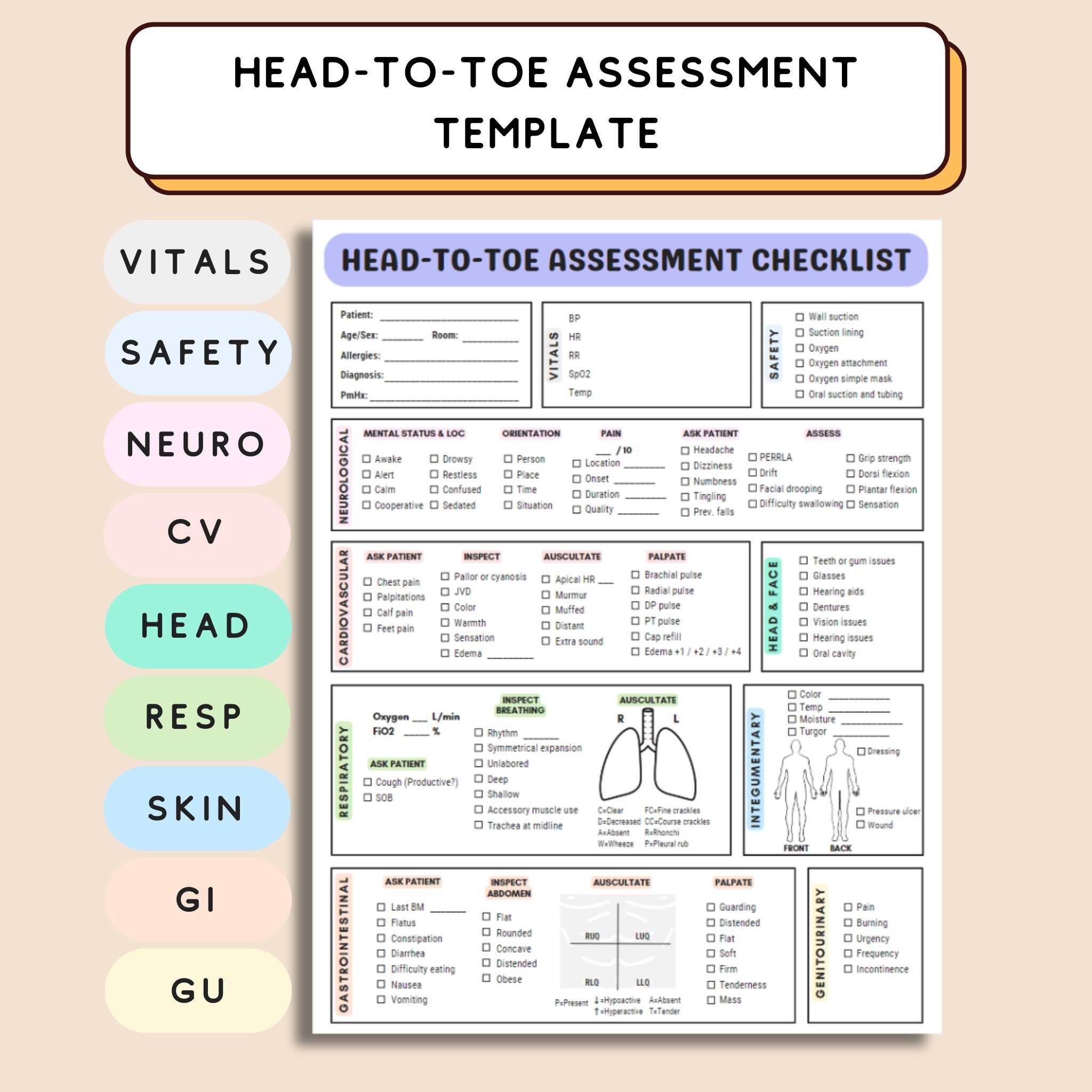 Head to Toe Assessment Template for Nursing Student Head to Toe Head to Toe Assessment Template for Nursing Student Head to Toe