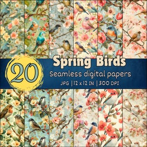 Frühling Vogel Florale nahtlose Muster, süße Vögel digitale Papiere, weiche Natur-Designs, romantische Vogel-Hintergründe, Blüten-Themen-Hintergründe