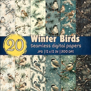 Modèle sans couture d'oiseaux d'hiver, Papiers numériques mignons oiseaux des bois, Arrière-plans d'oiseaux d'hiver enneigés, Motifs oiseaux douillets, Papiers peints d'hiver