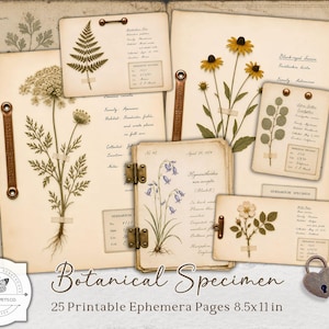 May include: A collection of vintage botanical specimen pages. The pages feature pressed flowers and plants, with handwritten labels and details. The pages are arranged on a textured background, with leather straps and a heart-shaped lock. The text reads "Botanical Specimen" and "25 Printable Ephemera Pages 8.5x11 in."