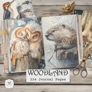May include: A journal with woodland-themed illustrations. The open pages display watercolor paintings of two owls and a beaver. The journal cover reads "WOODLAND" and "224 Journal Pages". Decorative elements include a gold cherub and vintage scissors.