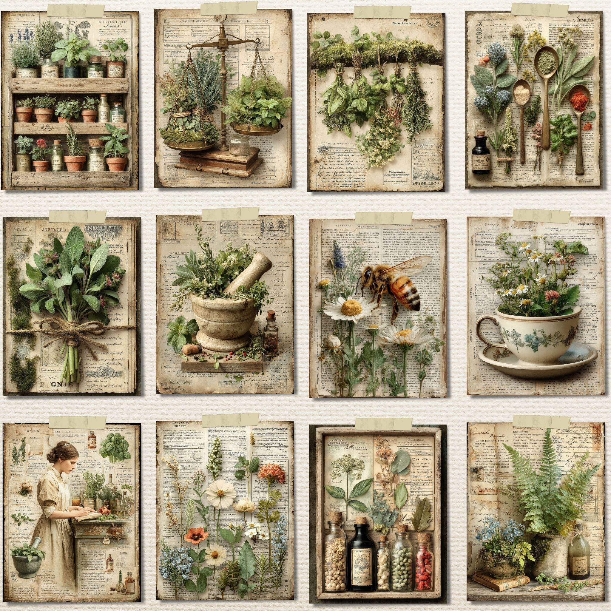 Herbal Junk Journal Kit – Vintage Botanical Apothecary Printable Pages ...