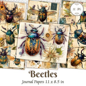 May include: A set of 11 digital journal papers featuring colorful beetle illustrations. The papers are 11 inches by 8.5 inches and are perfect for scrapbooking, card making, and other paper crafts.