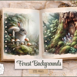 May include: An open book with watercolour illustrations of a forest scene. One page features a rabbit with mushrooms, the other a tree with a door and crystals. The text "Forest Backgrounds" and "205 PAGES" is visible.