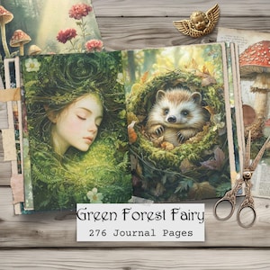 Può includere: Diario aperto con illustrazioni di una fata e di un riccio. Il diario è intitolato "Green Forest Fairy" e ha 276 pagine. Le illustrazioni raffigurano una fata addormentata circondata da fogliame verde e un riccio in un nido. Sono visibili anche forbici decorative e una statuina di cherubino.