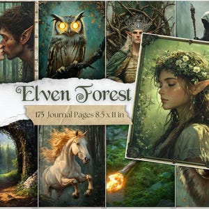 Elfenwald Junk Journal Seiten Verzaubert Digitale Papiere Fantasy Wald Scrapbooking Mystisch Printable Ephemera Magisch Digi Kit Woodland