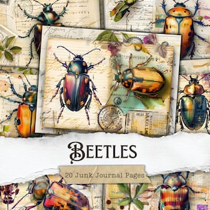 Pages de journal indésirable scarabée vintage insectes éphémères entomologie imprimables nature scrapbooking insecte feuilles de collage coléoptères impressions numériques