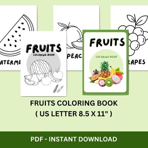 Busy Book Printable, Toddler Learning Binder, Preschool Activities, Homeschool Resources, Montessori Materials, Kids Quiet Book, Digital
