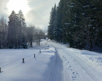 Winter photo, snow, winterwonderland