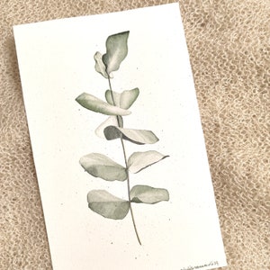Eucalipto, dipinto originale ad acquerello (no stampa) 13x20cm