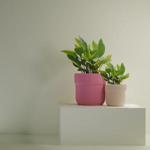 Puede incluir: Dos plantas en macetas con hojas verdes vibrantes. La maceta más grande es de color rosa brillante con detalles acanalados verticales, mientras que la maceta más pequeña es de color beige claro, también con detalles acanalados. Ambas macetas están sobre una plataforma geométrica blanca.