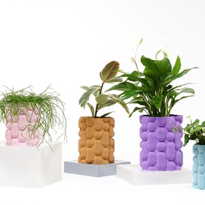 Può includere: Quattro vasi in ceramica di diversi colori con varie piante. I vasi sono tutti testurizzati con un design a bolle. I vasi sono su piattaforme bianche.