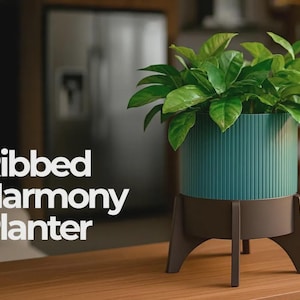Peut inclure: Un pot de fleurs cannelé turquoise avec une base et des pieds marron, contenant une plante verte luxuriante. Le pot est cylindrique et posé sur une surface en bois. Le texte "Ribbed Harmony Planter" est visible.