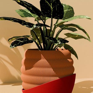 Può includere: Una pianta in vaso con grandi foglie verde scuro con macchie bianche. La pianta è in un vaso scanalato color terracotta con una base rossa angolata. Lo sfondo è di colore beige chiaro uniforme.