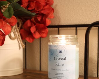 Homemade Soy Candle | 10 oz Eco Friendly Scented Candle Gift