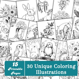 Adult Coloring Book